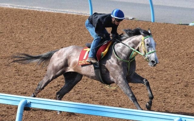 【オークス】ロンギングセリーヌの枠順に竹内調教師「偶数枠は最高」　３枠６番から逆転狙う　