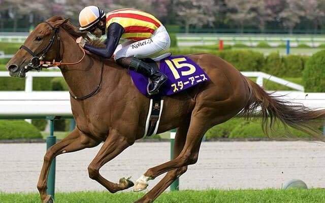 【オークス・調教後馬体重】スターアニスは484kg、アランカールは432kg