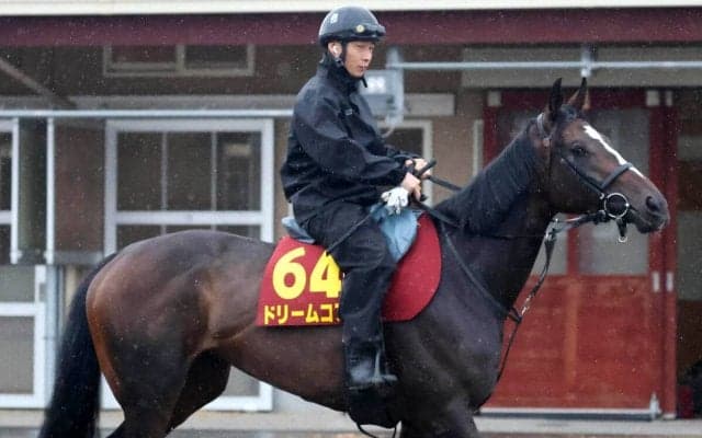 【Ｇ１トク捜リレー】桜花賞で崩れた良血馬　イシゴー記者は無敗の東京で逆転があると注目　オークス