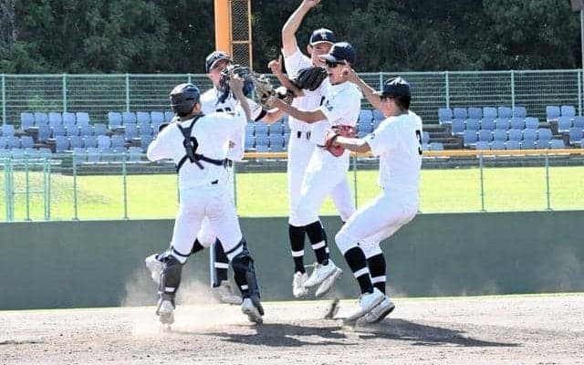 夏の高校野球広島大会85チーム参加へ　開幕と準決勝以降はマツダで