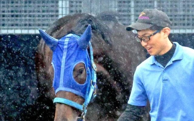【オークス】ラフターラインズは後入れの８枠１８番　小笠調教師は前向き「大外は極端ですが、偶数なのでよかった」