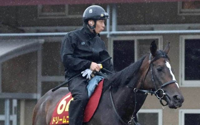 【オークス・金曜気配】亡くなった萩原師に勝利届けたいドリームコア　弾むフットワークで前走以上の好ムード