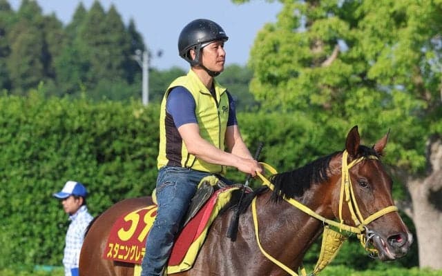 【オークス・金曜気配】抽選突破のスタニングレディは申し分ない出来　陣営「目いっぱいに仕上がっています」
