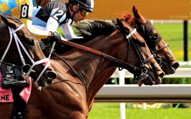 【オークス／追い切り診断】理にかなったソフト調整に高評価「A」　柔らかく地面を捉える走りは「まさに中長距離仕様」