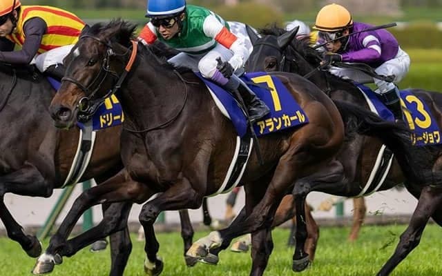 今週の武豊騎手は11鞍 アランカールでオークスの30年ぶりVなるか