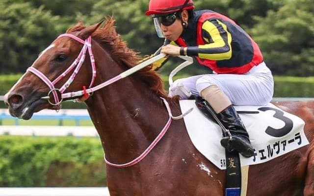 半姉は二冠牝馬チェルヴィニア チェルヴァーラが9カ月ぶりの復帰戦だ