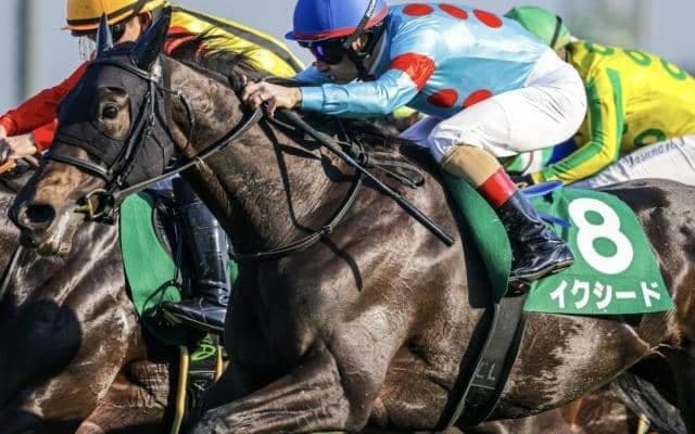全兄は名馬イクイノックス イクシードがカーネーションCで確勝期す