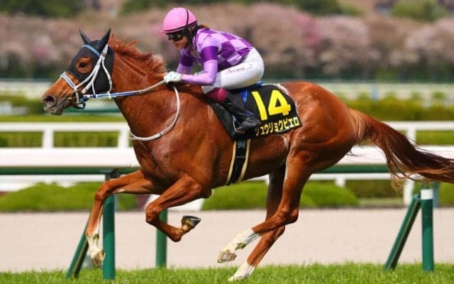 今村聖奈がオークス騎乗へ…女性ジョッキー騎乗馬