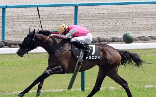 【競馬予想】オークスは「縁のある血統」から２頭に期待　本命は、2014年にレースを制した母と枠番も同じ２勝馬
