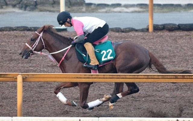 良血馬の復帰戦は惜しくも２着「化け物になると思う」「あの走りなら...」ファンは悲喜こもごも　チェルヴァーラは２着