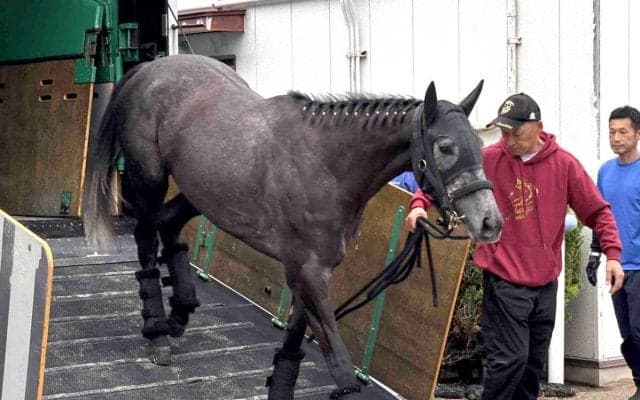 【オークス・土曜気配】２戦２勝のアンジュドジョワ　初の関東圏への輸送にも陣営「相当おとなしかったよ」　馬体も回復