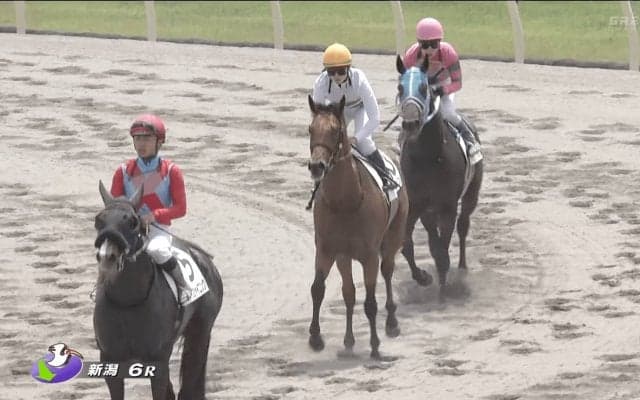 「あっぱれ！」女性騎手が1着〜3着を独占…“令和の競馬”象徴する光景にファン興奮「美駒ちゃん！ まなみん！ 聖奈ちゃん！」