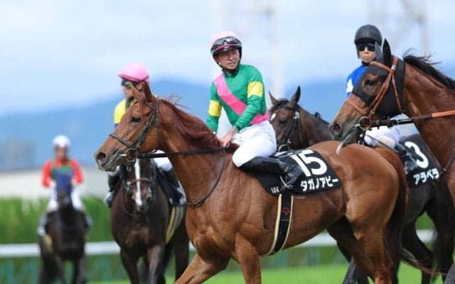 【シドニートロフィー】オークス3着馬タガノアビーがオープン入り…後方一気の末脚炸裂