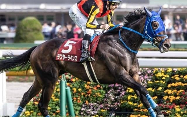 霜降り明星・粗品はラフターラインズを信頼 オークスは3連単で勝負だ