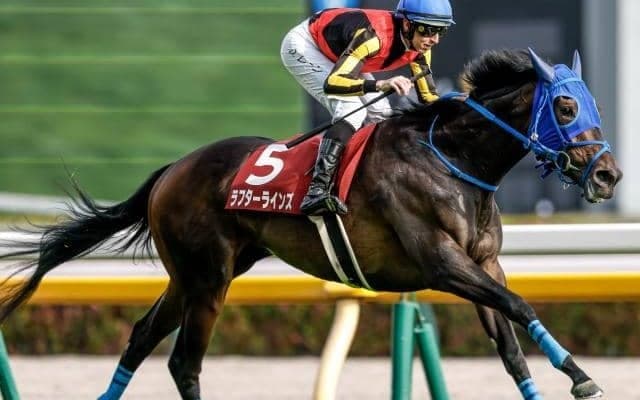 【今日の注目ポイント】3歳女王決定戦・オークス