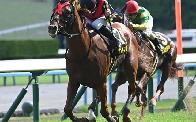 【都大路S結果】ガイアメンテがレコードタイムで快勝
