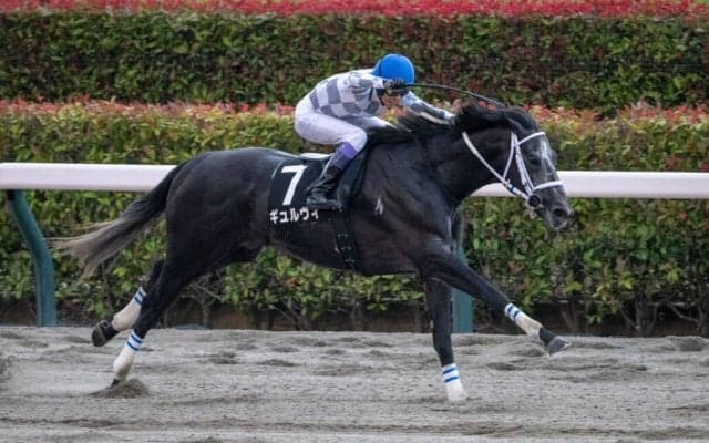 【東京12R】武豊ギュルヴィが完勝でオープン入り…早め先頭からねじ伏せる