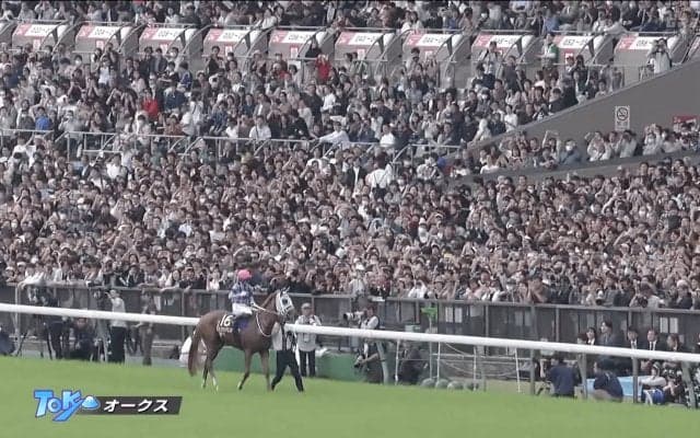 「鳥肌やばい」笑顔、そして涙…今村聖奈の偉業達成と“大歓声”ウイニングランに競馬ファン感慨「初めて泣いた」