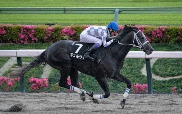 【東京12R】武豊「強い内容でした」ギュルヴィがオープン入り