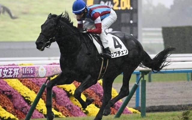 【日本ダービー見どころ】3歳クラシック2冠を目指すロブチェン