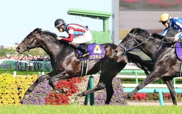 ロブチェンなど出身馬が大活躍　ノーザンファームミックスセールが２日間開催へ「多くの馬主様から需要が増加」