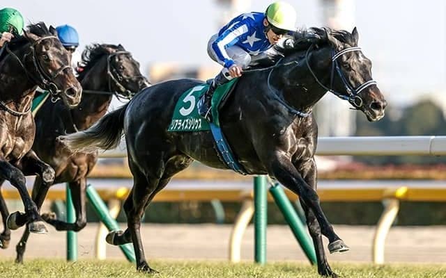 【AI予想・日本ダービー】能力やコース経験に不安なし！ 前走の内容も光る人工知能の本命候補
