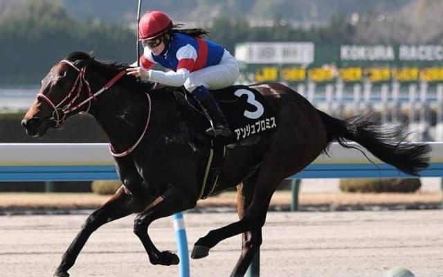 【葵S展望】人気薄になりそうな牝馬の激走に期待