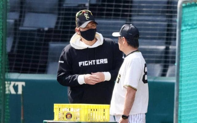 【阪神】交流戦ならでは　日本ハム新庄監督が和田ヘッドコーチとあいさつ、島本浩也も元同僚らに