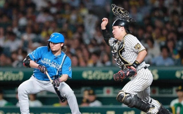 【日本ハム】伊藤大海がプロ初犠打　約１年ぶりのチャンスで“雪辱”果たす