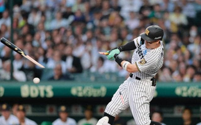 【阪神】両チームバット折れすぎ…計５本　スタンドどよめき　岡田彰布顧問「よう折れんなあ」