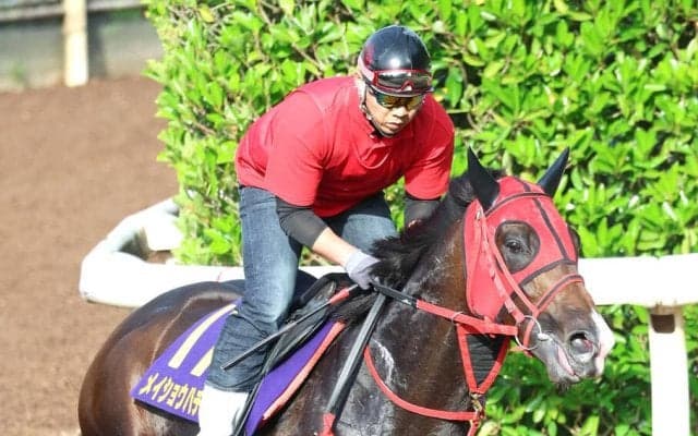【日本ダービー】松本会長にささげる勝利を！「忠犬ハチ公みたいに…」と牧浦調教師は気合　メイショウハチコウが坂路でパワフルな動き　
