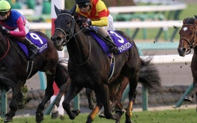 【日本ダービー】史上初の年明け初戦Vなるか 京都2歳S覇者のジャスティンビスタが挑む