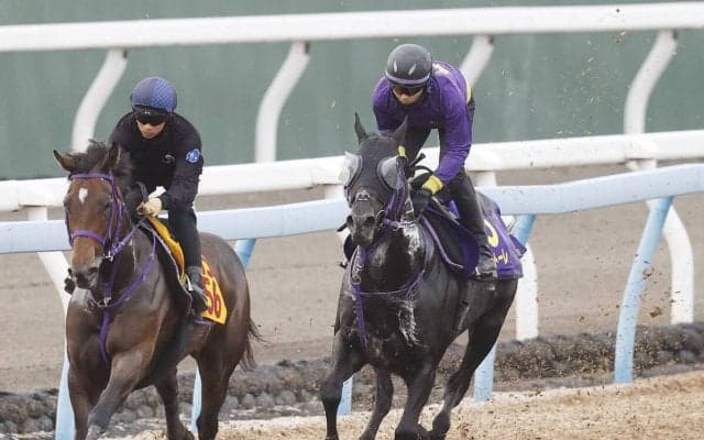 【安田記念・１週前】重賞連勝中トロヴァトーレは鋭く１１秒２　鹿戸調教師「ダートを試したりしたことがいい方向に出たのかも」