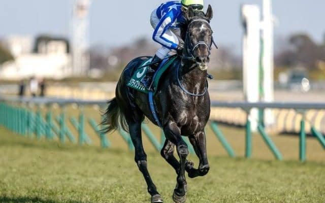 【日本ダービー予想】AIは堅い決着を示唆!? 不安要素が見当たらない本命候補とは