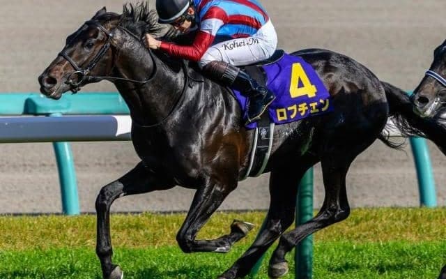 【日本ダービー】史上25頭目の二冠へ ロブチェン＆松山弘平騎手が不動の主役だ