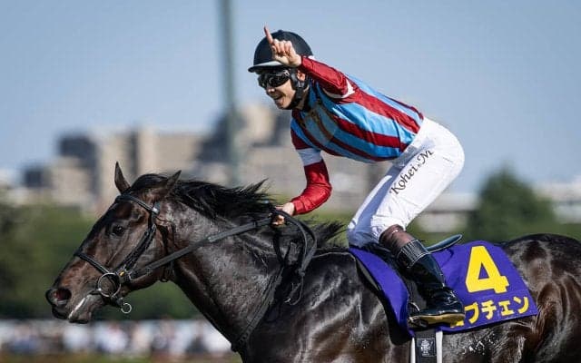 【競馬予想】日本ダービーの行方を占う「３歳牡馬ランキング」　ロブチェンを脅かす存在はいるか