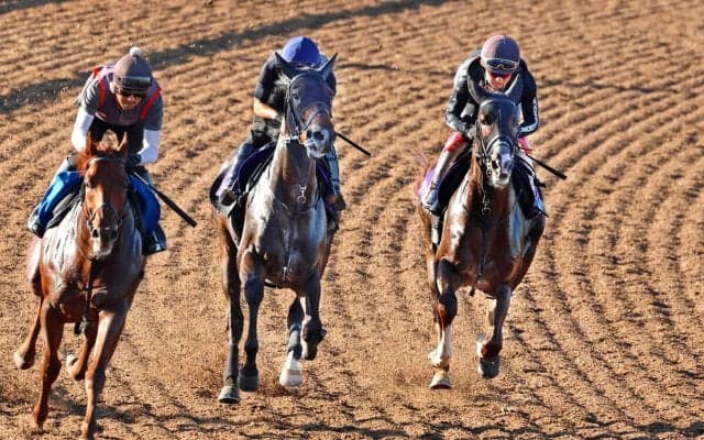 【日本ダービー】皐月賞３着ライヒスアドラーが逆転へ　佐々木大輔騎手「今まで乗ったなかで一番」