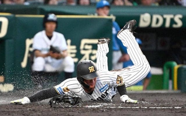 【阪神】甲子園が見入ったプロの技　高寺望夢が爆肩・万波中正との「勝負」制して先制ホームイン