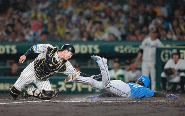 【阪神】スクイズで痛恨失点…大山悠輔必死のグラブトスわずかに浮く　動きまくり新庄野球