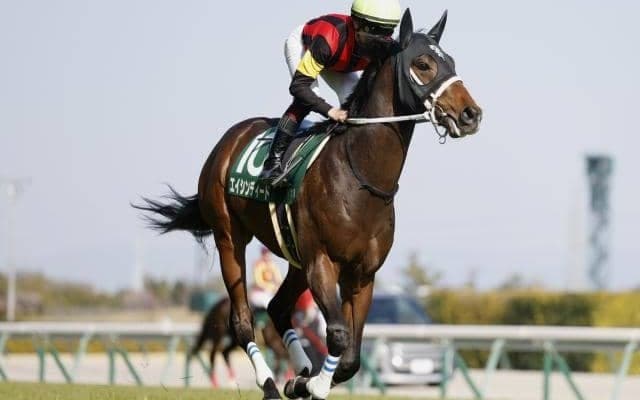 【葵S枠順確定】エイシンディードは3枠5番、タガノアラリアは6枠11番