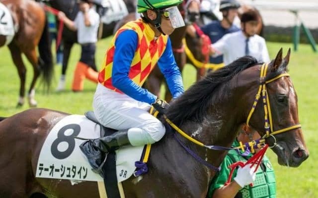 半弟は皐月賞馬ロブチェン テーオーシュタインが連勝狙う