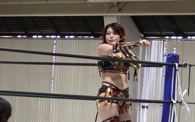 林下詩美　約２年ぶりスターダム復帰戦で完勝　会場は「詩美、お帰り」と温かい声援