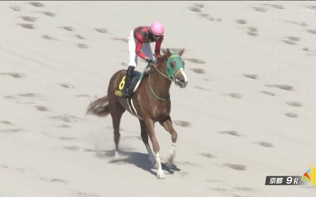 “ホリエモン”所有馬が「マジで強すぎ」完勝の走りにSNS興奮…“着差以上の強さ”の本人も雄叫び「勝ったぁぁぁ！」」