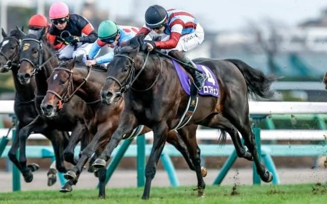 【今日の注目ポイント】競馬の祭典・日本ダービーと目黒記念