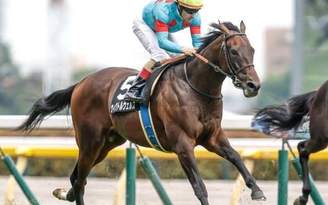 【目黒記念予想】ダービーの余韻残る長距離ハンデ戦 持久力勝負の2500m舞台