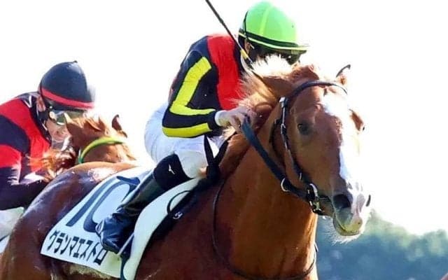 「ダートでも芝でも変わりません」ルメール騎手は首かしげる　初投入の砂でも１番人気で勝ち星つかめず…超良血グランマエストロは６着