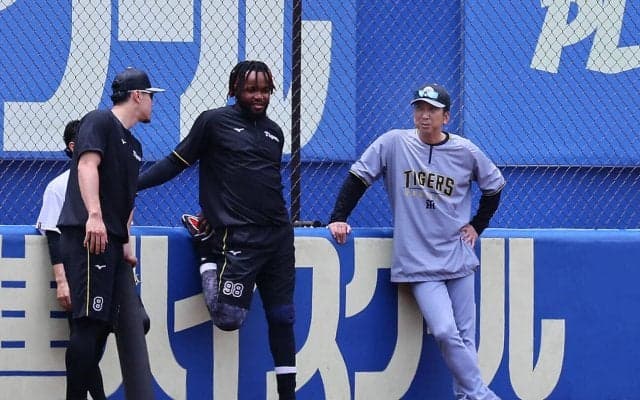 【阪神】“嵐”の前の静けさ　名物の海風やわらぐ穏やか気候　３日目で初めてシートノックせず