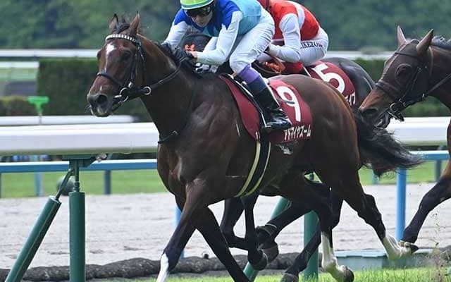 春のマイル王決定戦・安田記念 2歳新馬戦もスタート/今週の競馬界の見どころ
