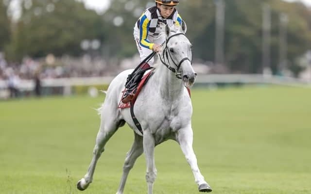 【安田記念見どころ】日本ダービーに引き続き杉山晴紀厩舎のガイアフォースに注目