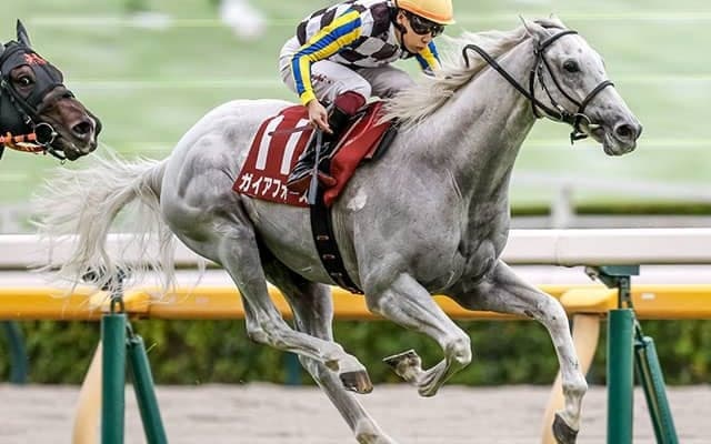 【安田記念想定騎手】ガイアフォースは横山武史騎手、トロヴァトーレはC.ルメール騎手